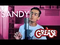 Download Lagu Sandy - John Travolta/Grease - Cover
