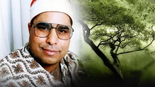 الشيخ محمد الليثي رحمه الله الحاج المؤمنون الحبش 