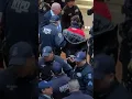 Download Lagu Jewish activists flood Trump Tower protesting arrest of Mahmoud Khalil