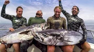 SPEARFISHING HUGE DOGTOOTH TUNA: B2B Pacific Tour(B2B Ep: 8)