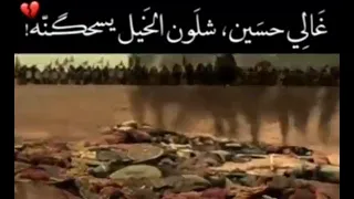 حسين يا هيبة زلمنه الطاح محد شاله 