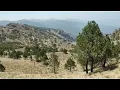 Sea Of Love - Cat Power | Love Loop