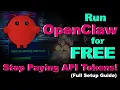 Run OpenClaw for FREE - Stop Paying API Tokens Full Setup Guide How to Use OpenClaw for FREE API