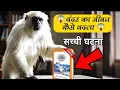 Download Lagu कैसे बंदर का जीवन बदला जब ज्ञान गंगा पुस्तक मिली ,||  Gyan Ganga book | sant Rampal Ji Maharaj