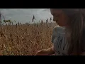 Last Field Update Before Harvest