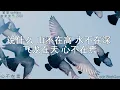 蛋堡-心不在焉