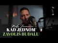 Download Lagu PEDJA JOVANOVIC - KAD JEDNOM ZAVOLIS BUDALU