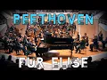Beethoven - Für Elise - Berliner Philharmonie | Piano \u0026 Orchestra