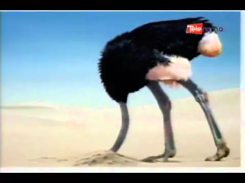 Síndrome del avestruz miedo incontrolable