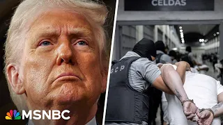 ‘Given zero due process’: ACLU lawyer slams Trump admin’s use of Alien Enemies Act