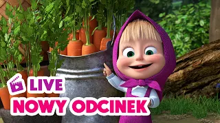 🔴 LIVE ✨ Nowy odcinek ✨ Pasja kolekcjonerska 🧩📦 Masza i Niedźwiedź ⚡ NA ŻYWO