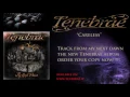 Download Lagu Tenebrae My Next Dawn Careless