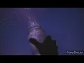 23 - Kyle Hume ( Everybody's Falling In Love Expect For Me ) | Tiktok Song