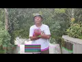 Download Lagu Tik_tok_ pompa _(tarik sis semongko)DGZ prod