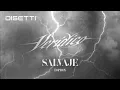 Wallance x Fharid On The Beat x Topboy TGR - Salvaje Visualizer