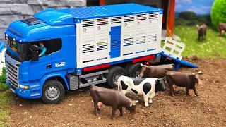 TOY Animal Truck Transport and Bruder Toys!