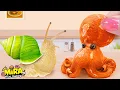 Download Lagu Resep Seafood 💕 Resep Gurita Jepang Renyah dengan Siput 💕 Mira Mini Cooking