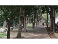 Vila Mariana um dos bairros queridinhos de SP