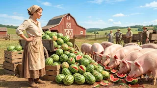 She Bought 500 Bruised Melons for 15 Her Pigs Fattened While the Whole Town Laughed
