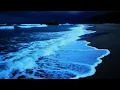 Download Lagu Het rustgevende oceaangolven klinkt een perfecte nachtrust • Ontspannende achtergrondmuziek