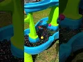 Magical Water Table Setup