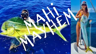 Pacific Panama | Mahi Mayham Diving and Spearing