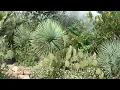 Download Lagu Beautiful Jungle Garden and Exotic Terrace, Sint-Annaland, the Netherlands