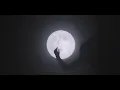 Stray Dogg - Look At The Moon
