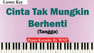 Download Cinta Tak Mungkin Berhenti Karaoke LOWER KEY MP3