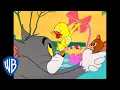 Tom Jerry Happy Easter Classic Cartoon WB Kids