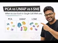 PCA vs UMAP vs t-SNE When to Use Each in Single-Cell RNA-seq Seurat Tutorial