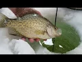 Scott Mackner Reviews the JT Panfish Snare