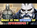 Apocalypse Anatomy Explored - What Is The Species Of Apocalypse Why His Techno Blood Is Unique