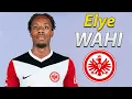 Lagu Elye Wahi ● Welcome to Eintracht Frankfurt 🔴🇫🇷 Best Goals \u0026 Skills