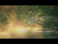 Mood Lifter Playlist (Visualizer) | Feel Good Songs | Nature's Therapy | Happy Bollywood Hits