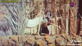 انا اللى حظى قليل دندنها
