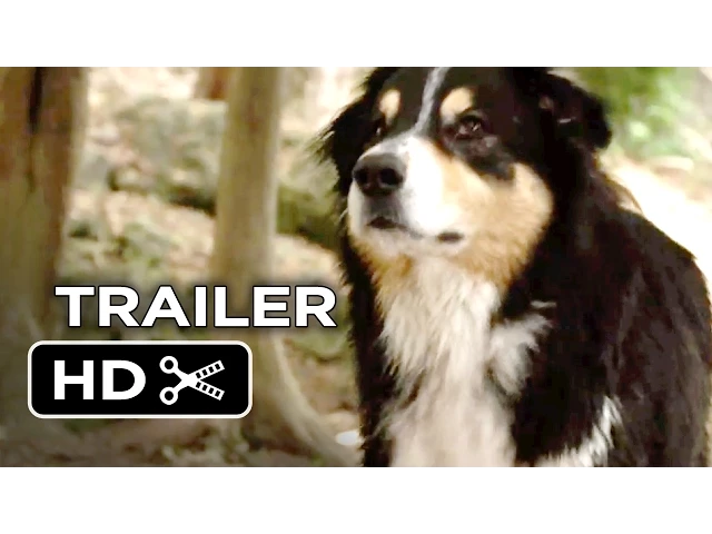 Bark Ranger Official Trailer 1 (2015) - John Lovitz Movie HD