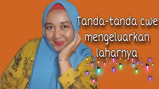 Download TANDA-TANDA CWE MENGELUARKAN LAHAR NYA  MP3