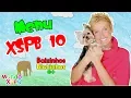 Lagu Menu Dvd - Xuxa só para Baixinhos 10