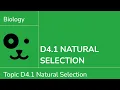 D4 1 Natural Selection IB Biology