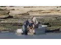 Download Lagu TV Crew Saves Castaway Stranded on Remote Island