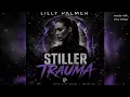 Lilly Palmer x Stiller traum x Official Music Audio Cover 