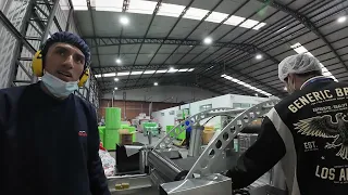                           دندنها