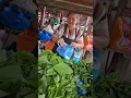 Download Lagu Pasaré Wong Jawa Sauna Markt/ Sondag Markt neng Paramaribo 7 July 2025
