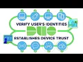 Secure remote work with Diyar United and Cisco