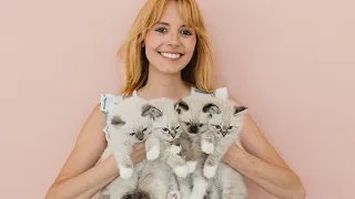 Meet the Kittens from the O Litter