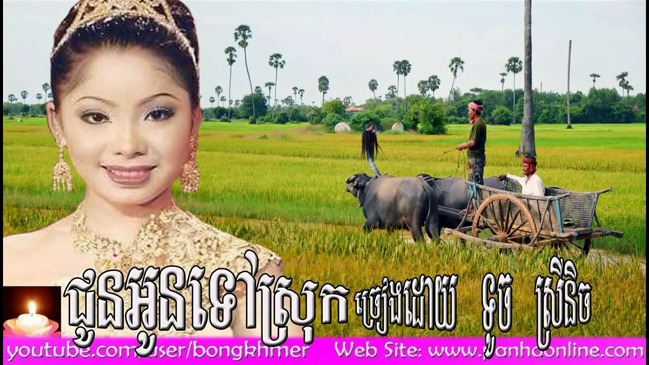 ជូនអូនទៅស្រុក ច្រៀងដោយ ទូច ស្រីនិច l ព.ស២៥៥៩ / គ.ស២០១៥ l - Khmer Remix by Dj Broney