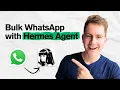 How to Send Bulk WhatsApp Messages with Hermes Agent No Dashboard