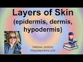 Layers of Skin