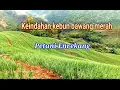 Download Lagu Bawang merah Enrekang || keindahan kebun bawang merah